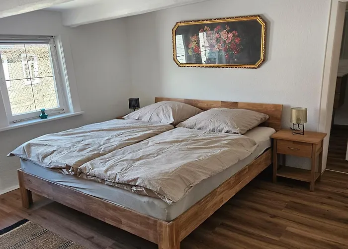 Alte Waescherei 戈斯拉尔