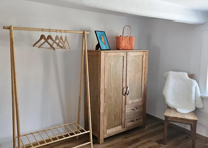 Alte Waescherei 公寓 *