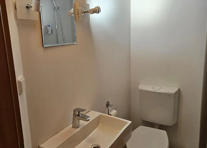 Alte Waescherei * 戈斯拉尔