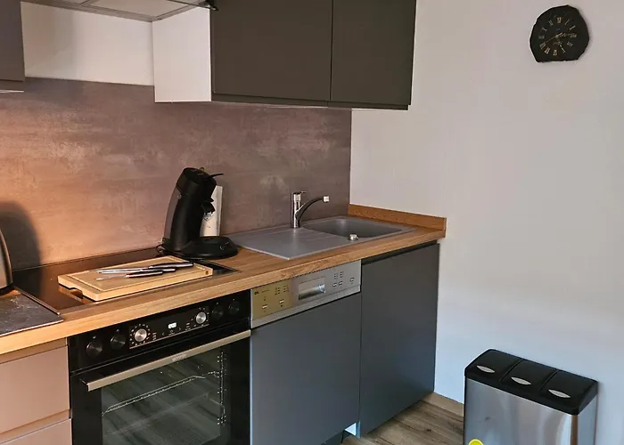 Alte Waescherei * 戈斯拉尔